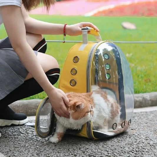 Pets Transparent Suitcase