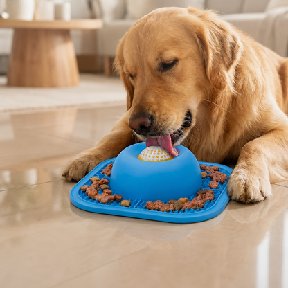 Anti-Slip Slow Feeder Lick Bowl for Dogs & Cats